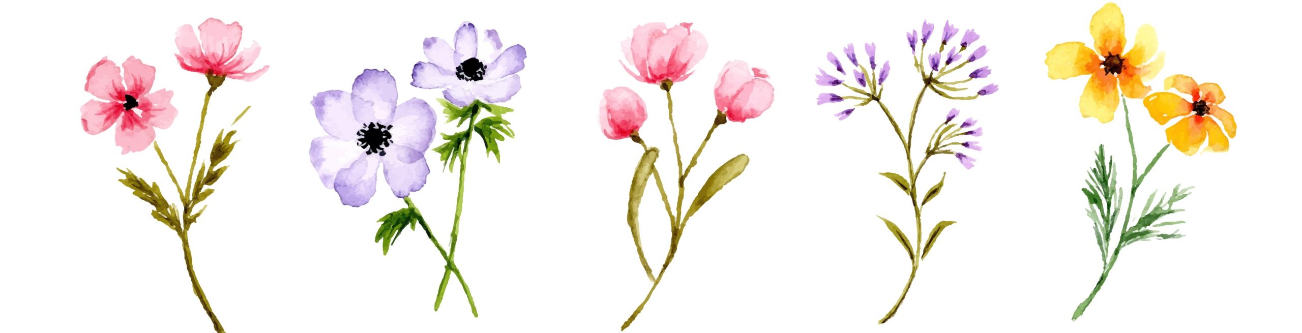 花いろいろ