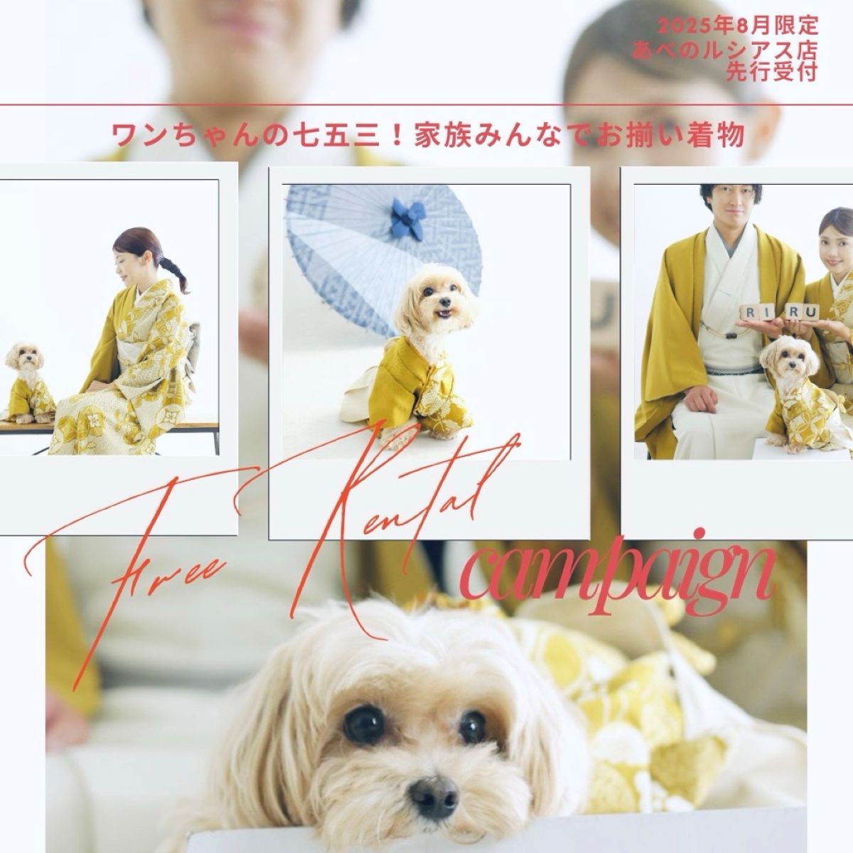 七五三/セルフィット/親子コーデ/2025七五三/前撮り/着物/新作着物/ペット撮影/ワンちゃん/犬