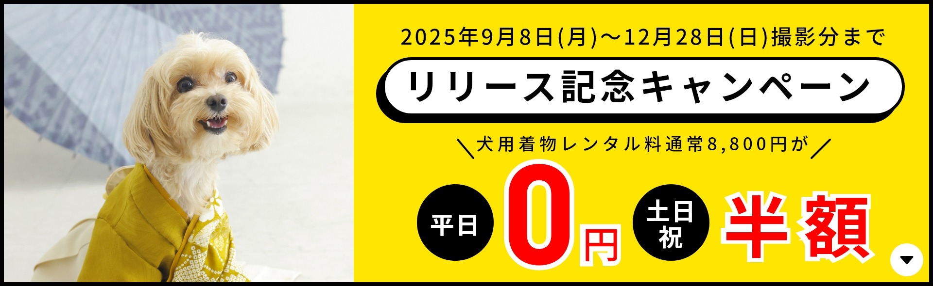 O-SO-RO-PHOTO/セルフィット/ペット撮影/記念写真/わんこ/ワンちゃん/着物/七五三