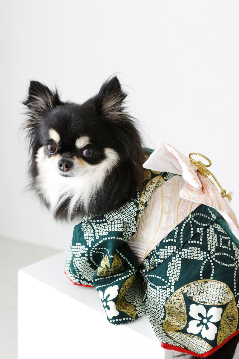 七五三/セルフィット/selfit/2025七五三/記念写真/大阪梅田/京都四条烏丸/あべの/名古屋栄/ワンちゃん/わんこ/ペット着物/親子コーデ/家族コーデ/おそろ/O-SO-RO/割引キャンペーン/クーポン